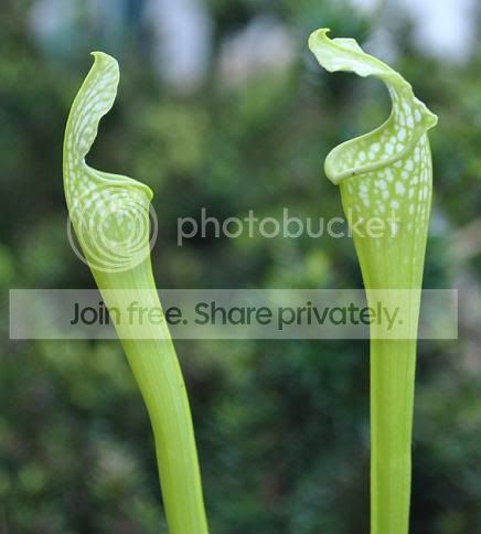 j.jpg