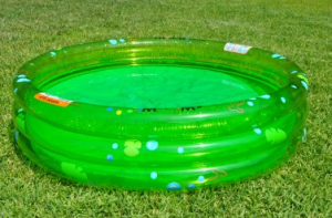 ewonderpool-300x197.png