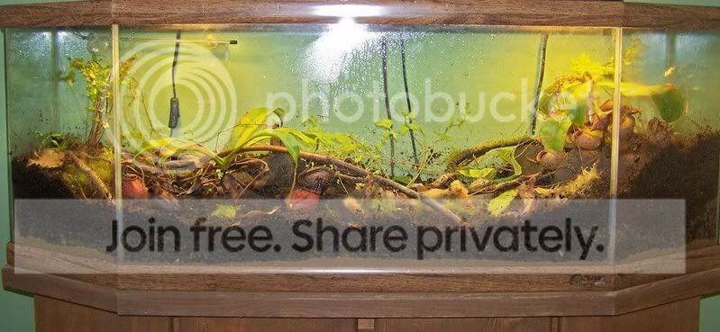 Terrarium_whole.jpg