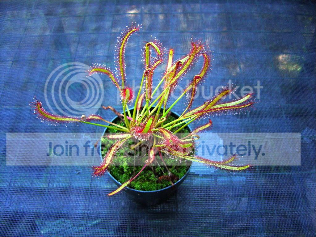 ReturnhomeCPs7-21-09017.jpg
