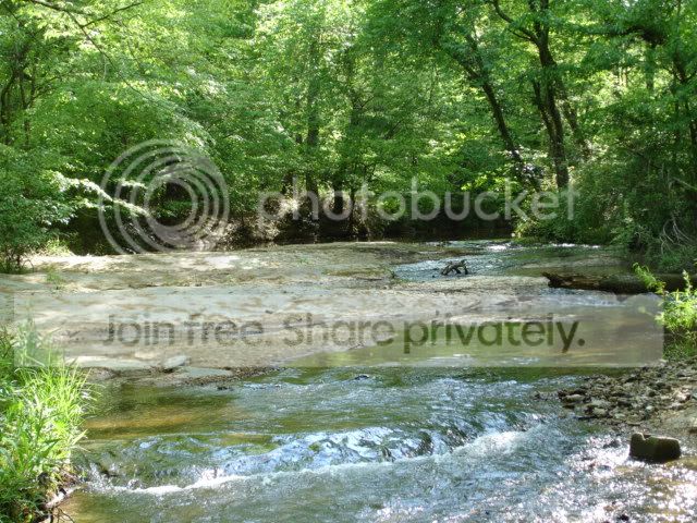 DSC07850.jpg
