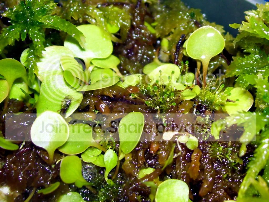100_5850.jpg