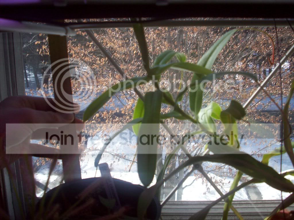 100_0230.jpg