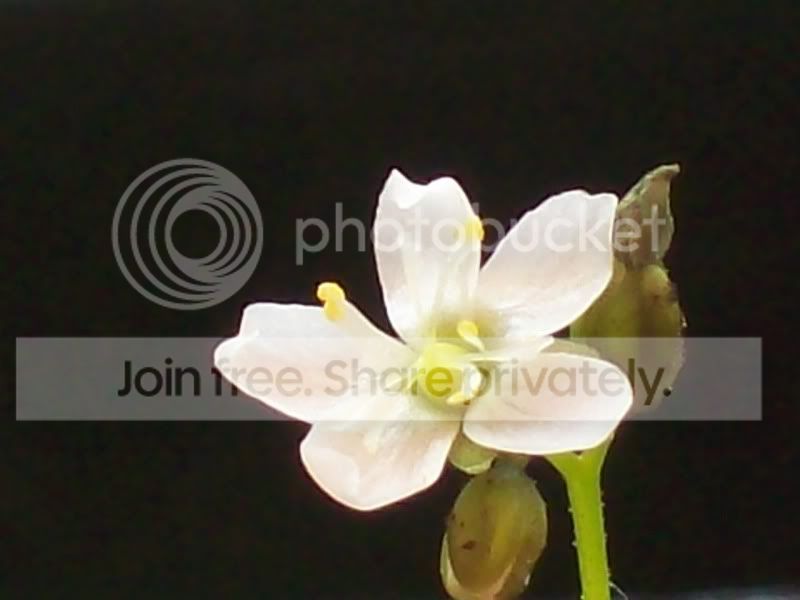 001-6.jpg