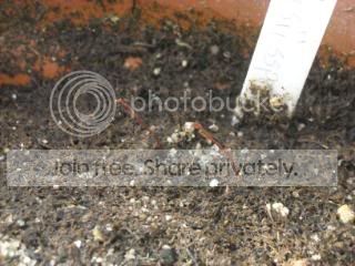 DSCN0038-2.jpg