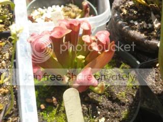DSCN0273-2.jpg