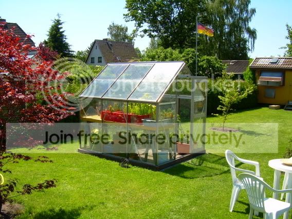 Greenhouse2.jpg