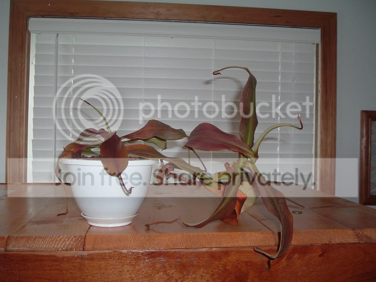 DSCF2690.jpg