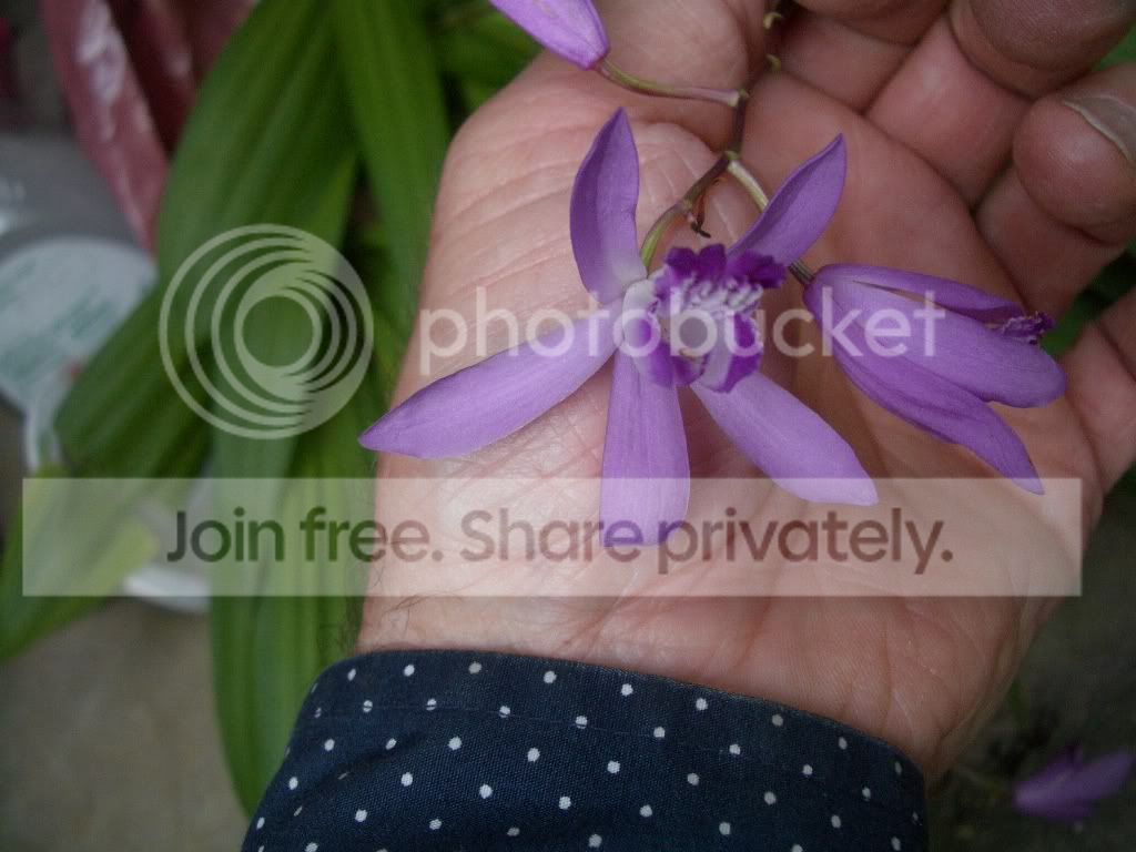 IMGP6575.jpg
