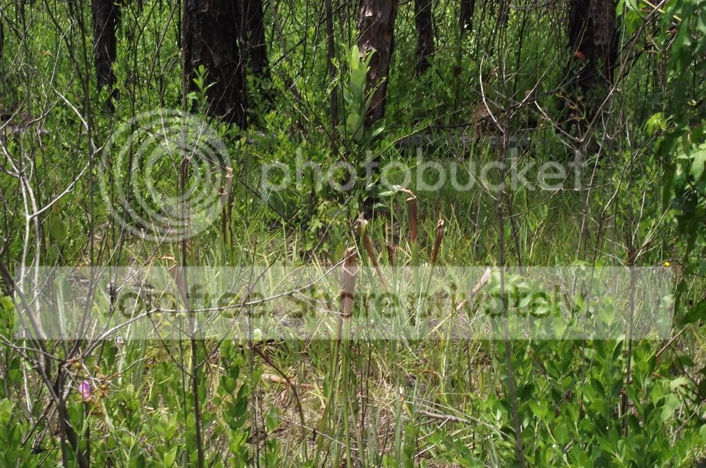 DSCF8674.jpg