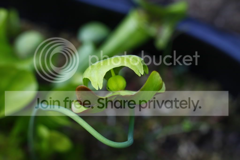 _MG_4645.jpg