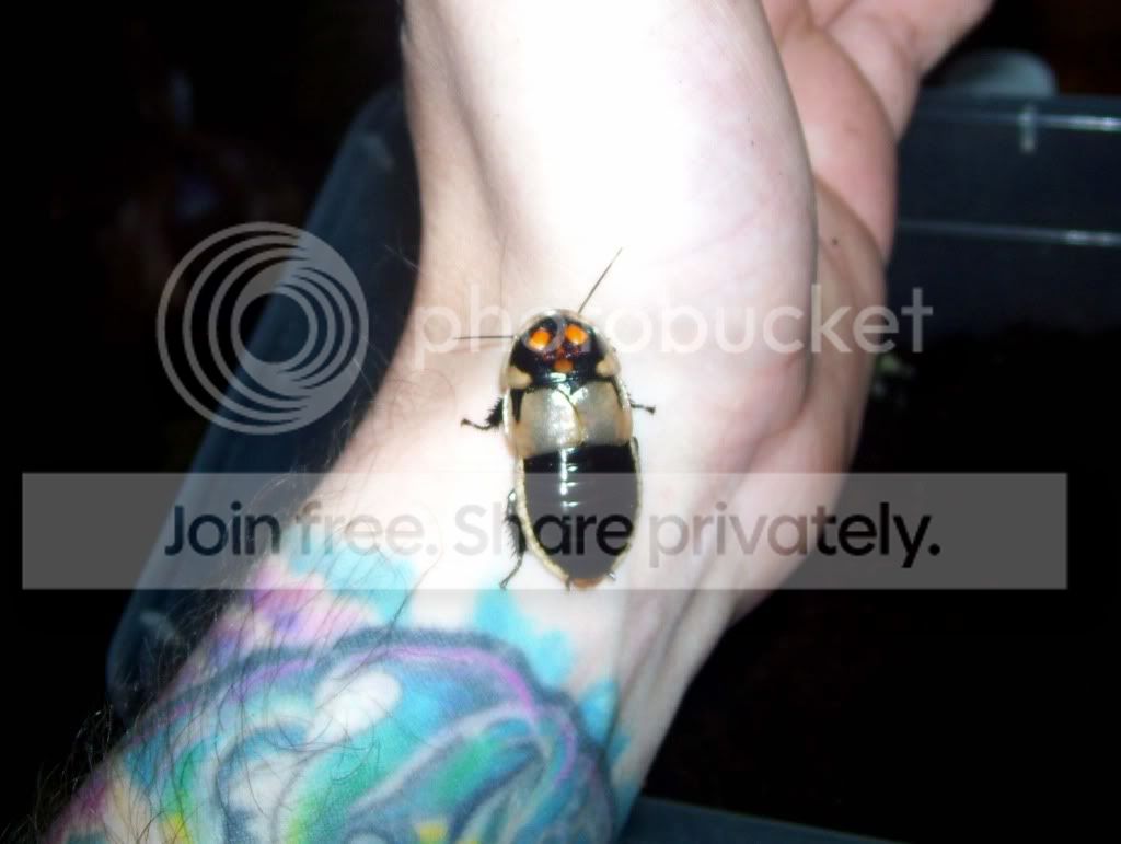 100_4707.jpg