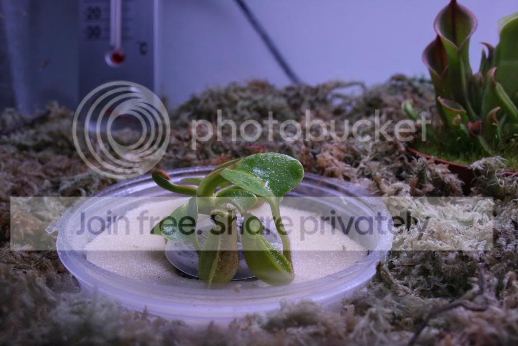 IMG_2647.jpg