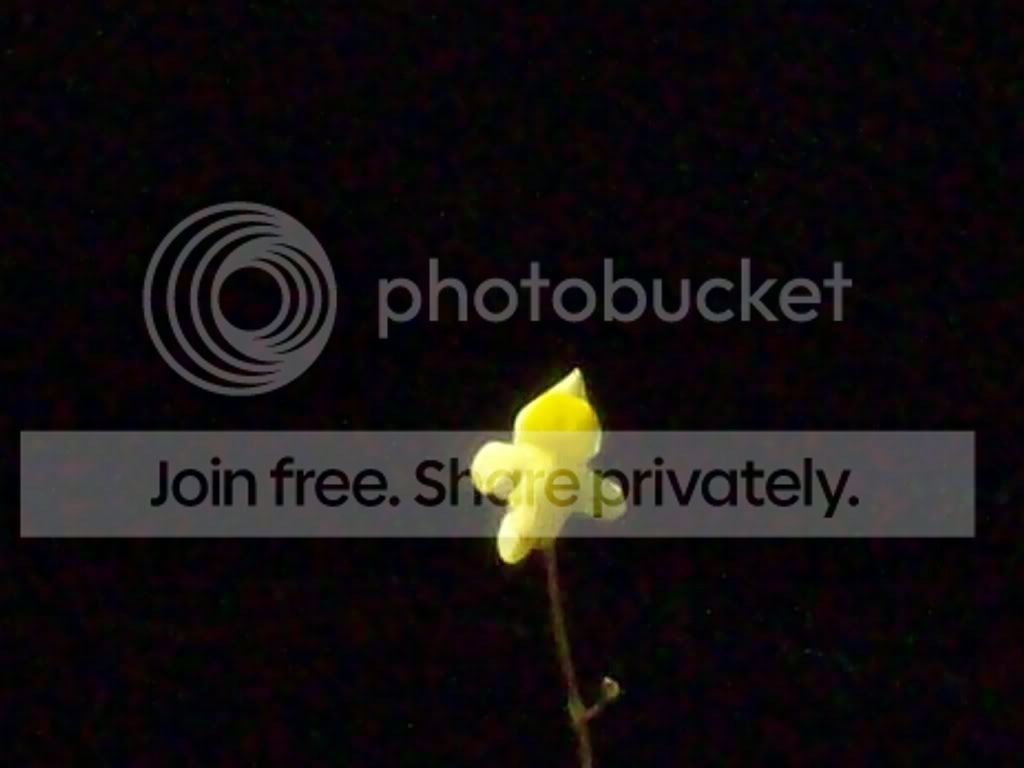 Picture011.jpg