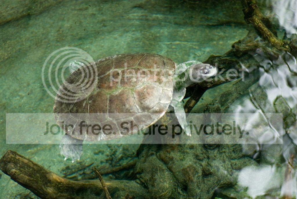IMGP3346_zpsimbpjssg.jpg