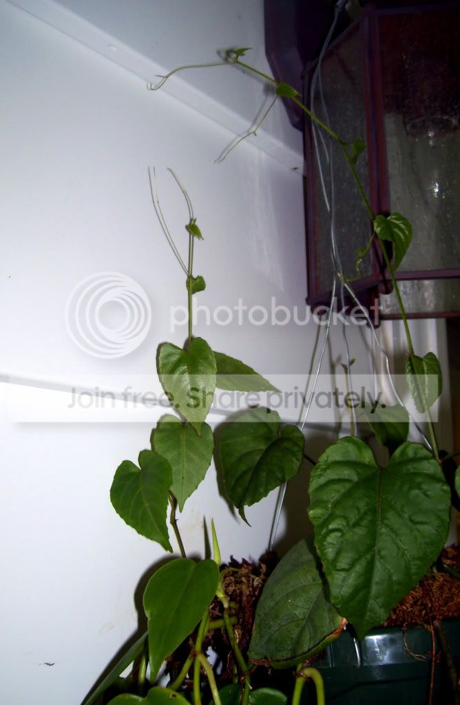 100_5579.jpg