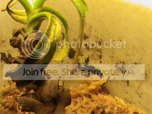 DSC00503_zpsfbf4f926.jpg
