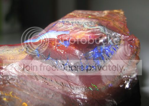 IMG_1187.jpg