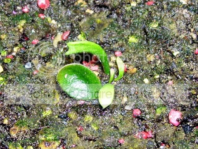 100_4527.jpg