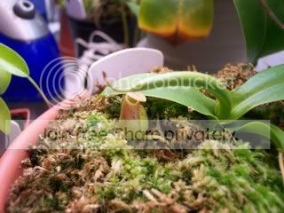 100_1529.jpg