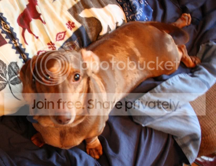 cooper2.jpg