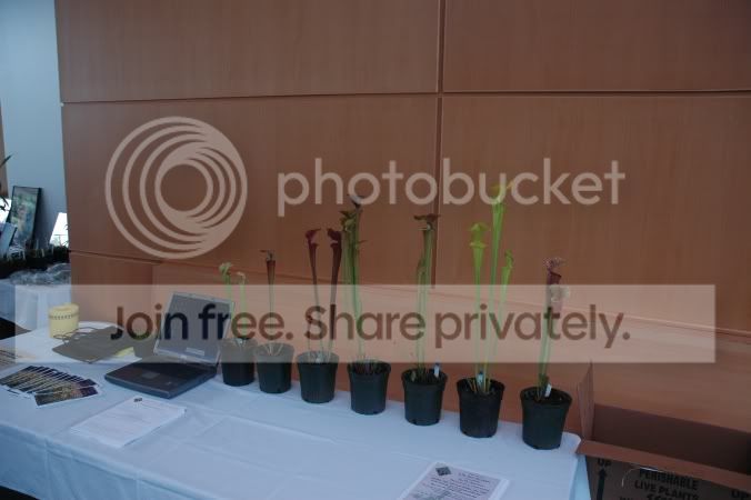 2006-6-5_ICPS_Meeting_184.jpg