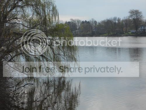 lakealice_5-7-11.jpg