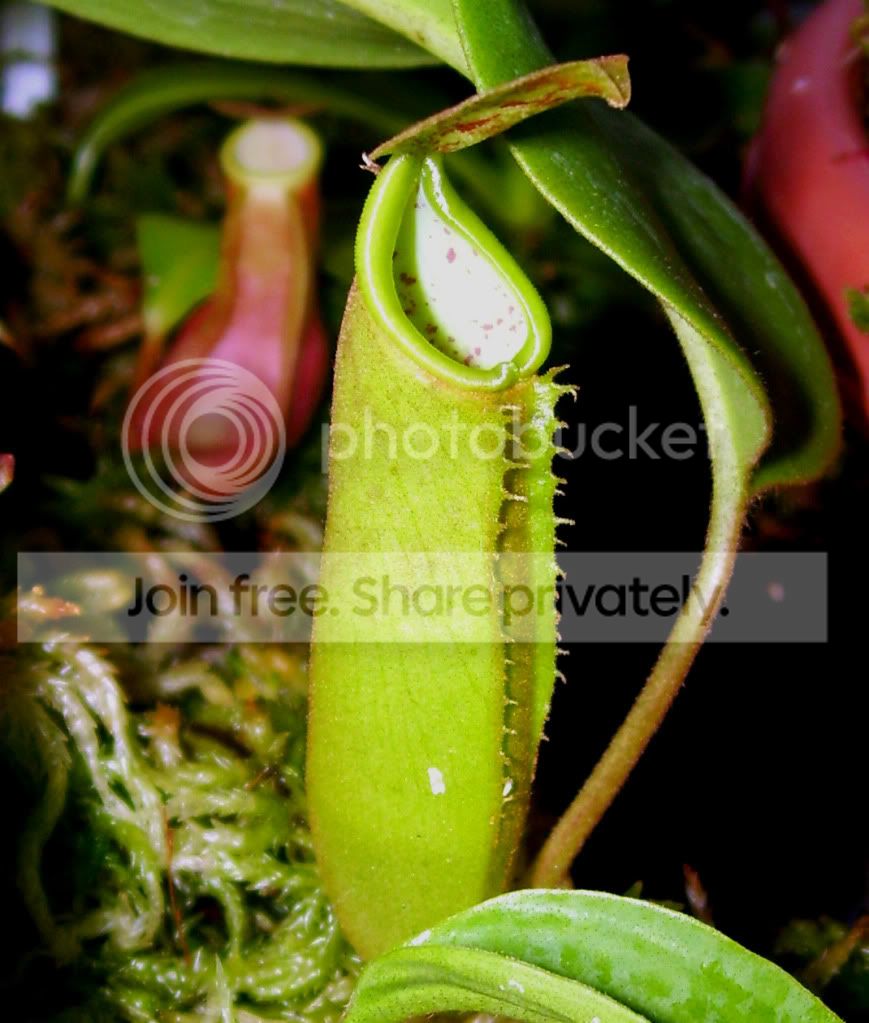 100_5915.jpg