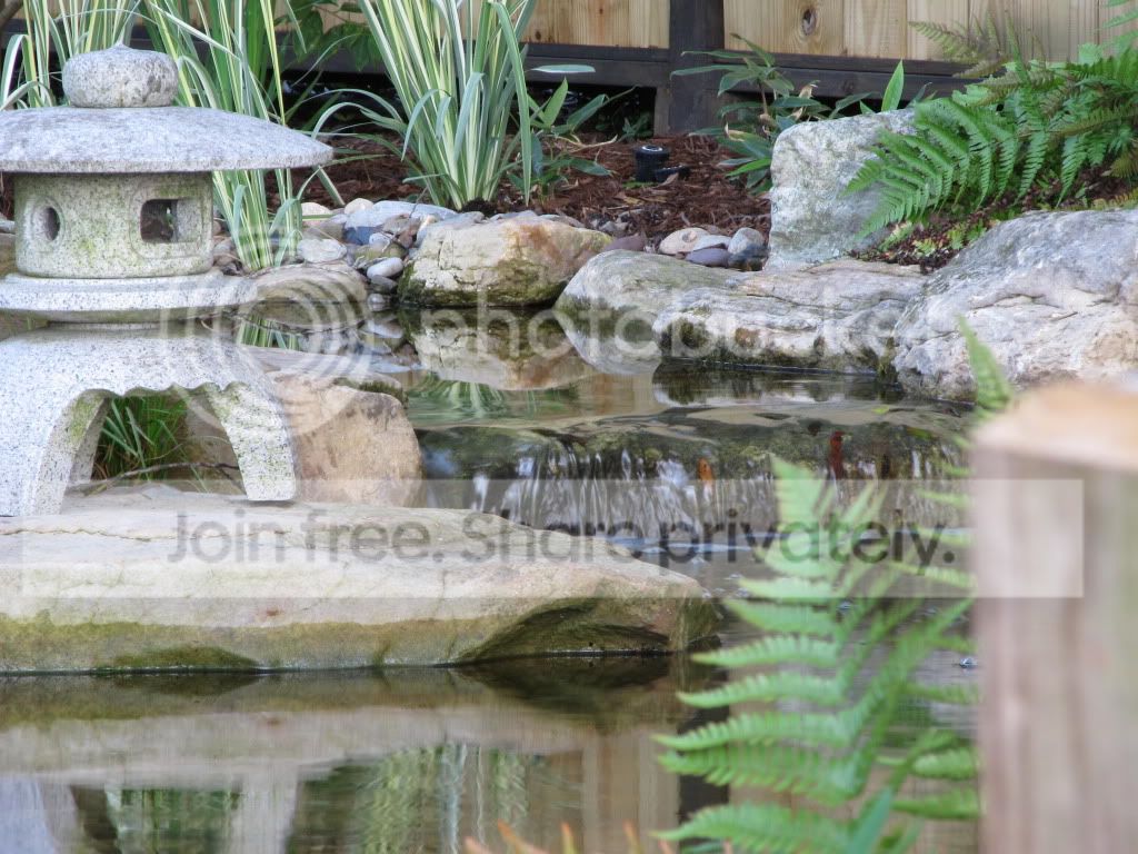 IMG_6511.jpg