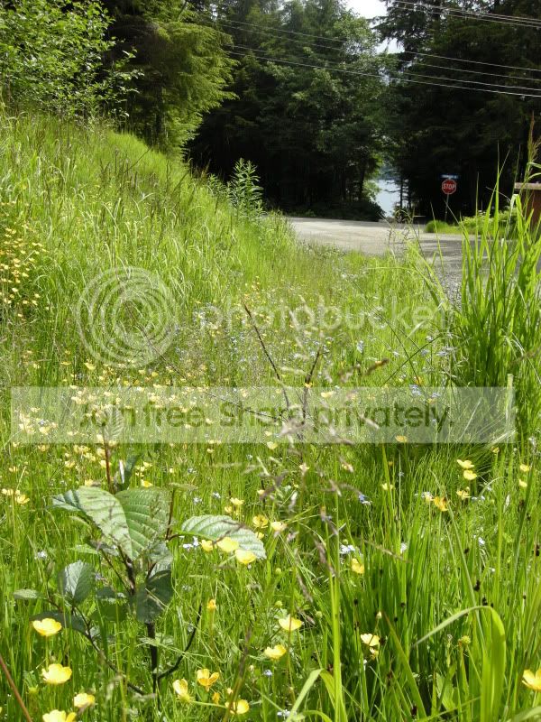 DSCN6070.jpg