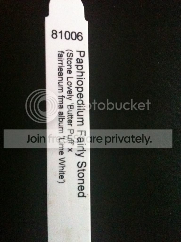 5e677bb7.jpg