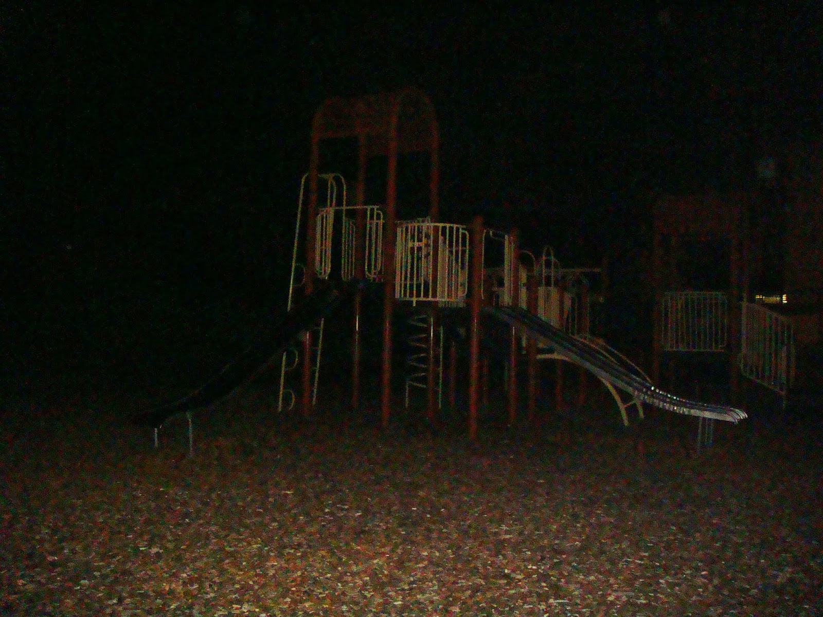 DSC03880.JPG