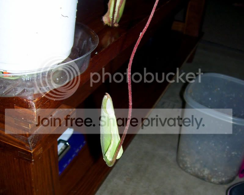 100_2906.jpg