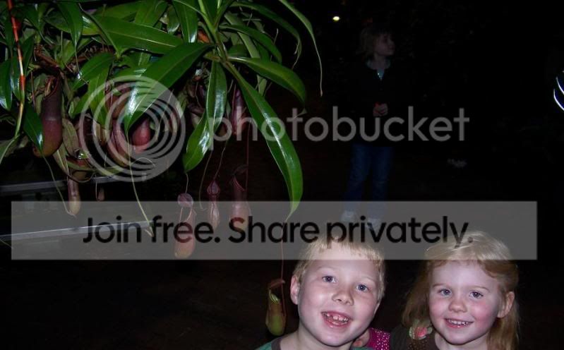 plant6.jpg