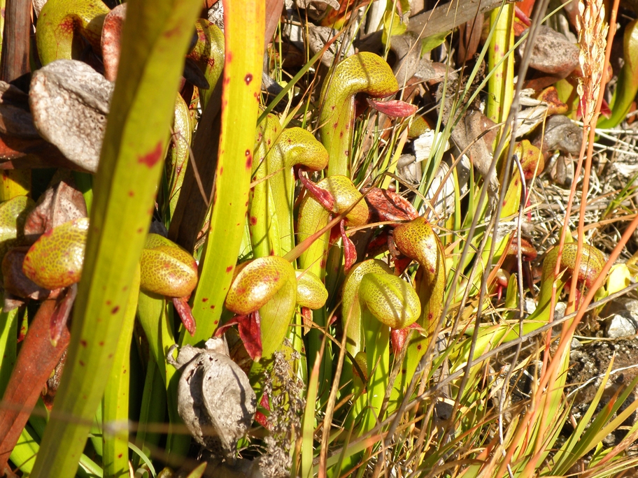 PA190803.jpg