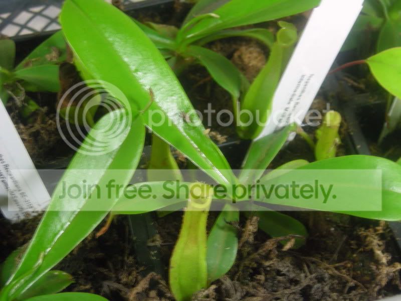 DSCN2407.jpg
