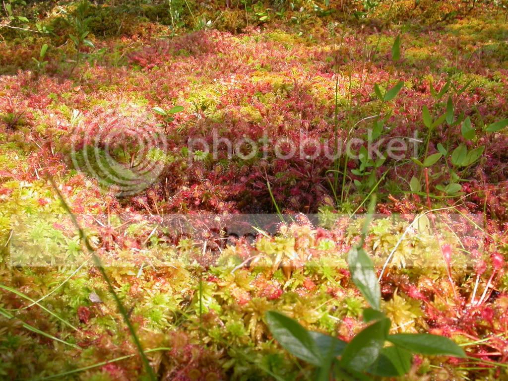 DSCN9149.jpg