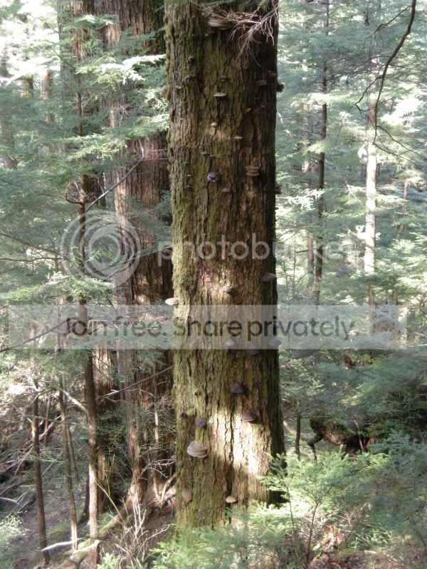 DSCN5951.jpg