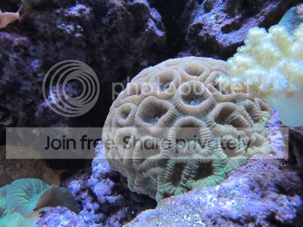 IMG_5718.jpg