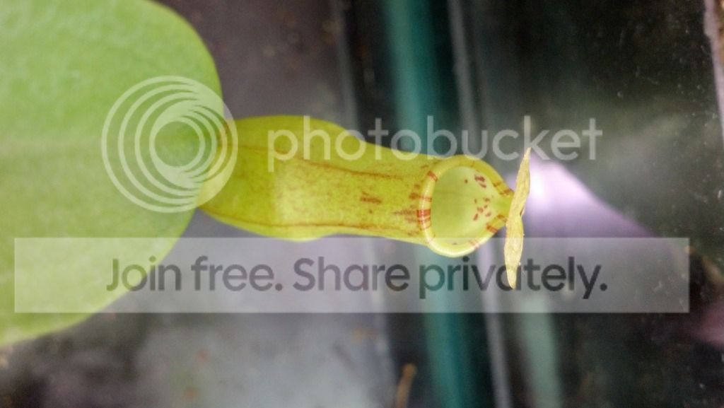 2012-08-27_15-53-03_993.jpg