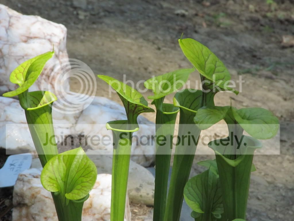 IMG_4776.jpg