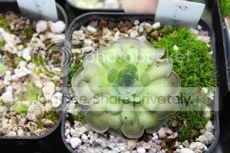 842408c6.jpg