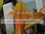 DSCN0552-1.jpg