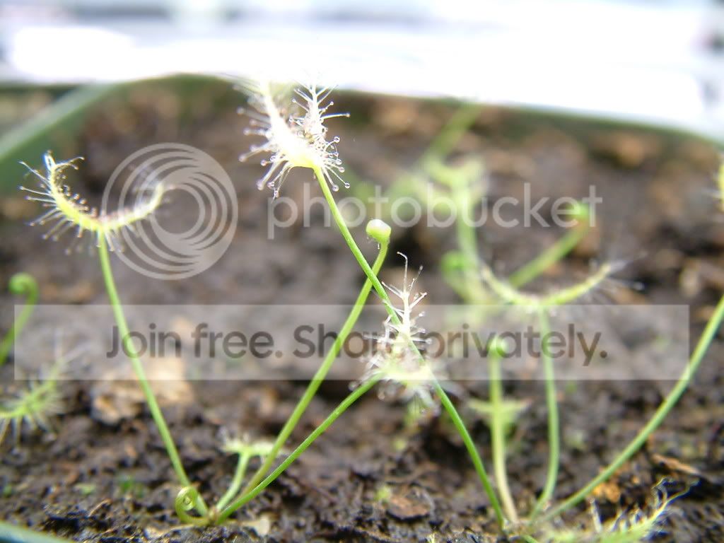 randomCPpictures004.jpg