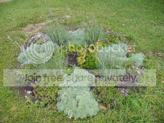 circleplanting.jpg