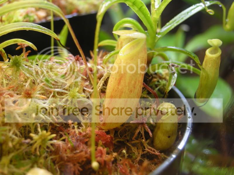 DSCN5825.jpg