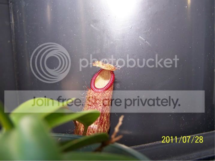 100_4943.jpg
