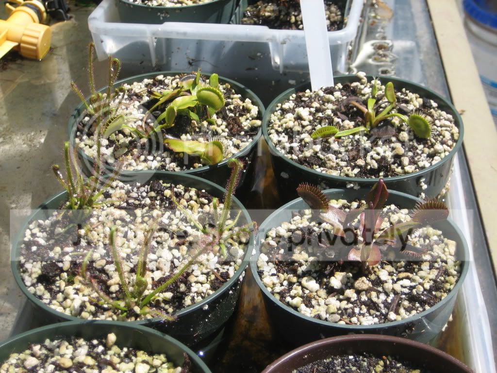IMG_1937.jpg