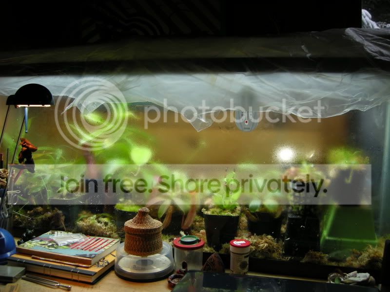 DSCN6452.jpg