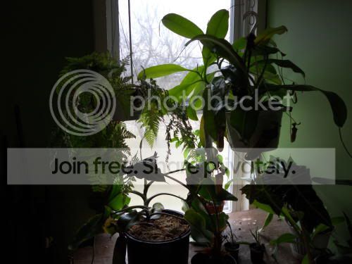 window_3-22-11.jpg